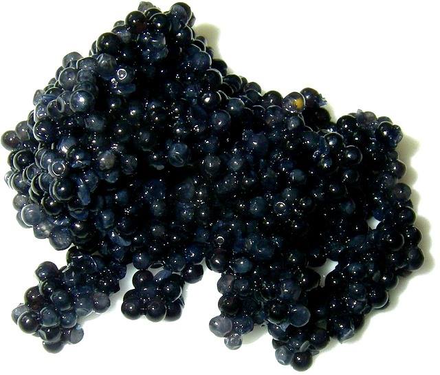 Tips de etiqueta sobre el caviar