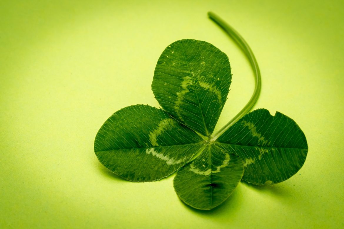 Hoy se celebra el día de San Patricio