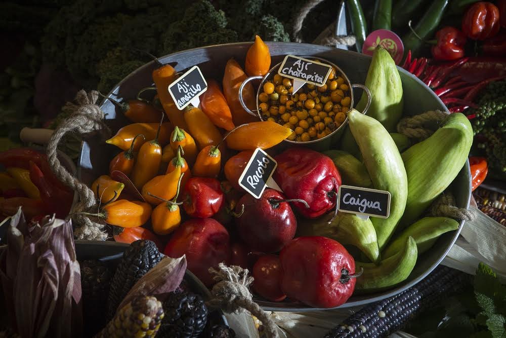 Durante II Foro Mundial de Turismo Gastronómico, Perú recibirá a líderes mundiales en gastronomía