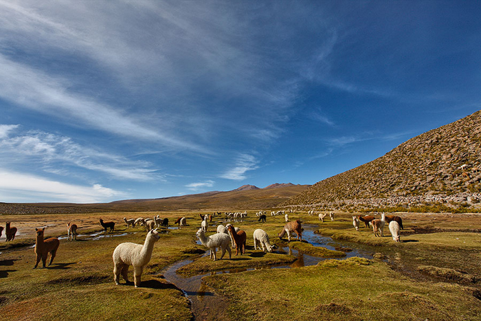 El imponente altiplano y algunos pueblos llenos de historia del Perú