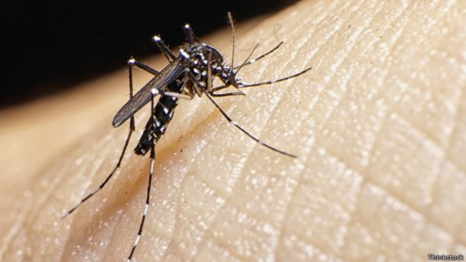 El virus zika, se está propagando por el mundo entero
