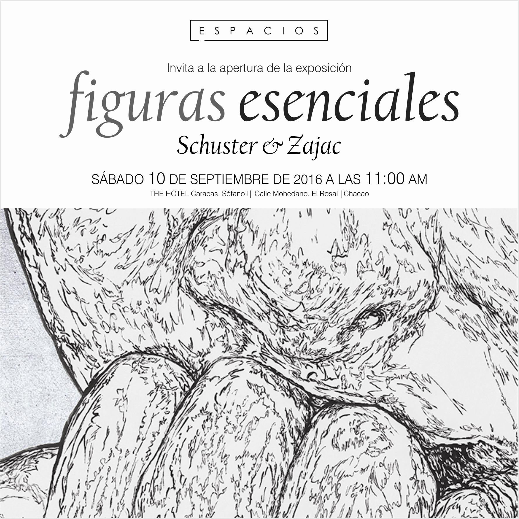 Inaugurarán obras de Schuster & Zajac en la Galería Espacios en Caracas
