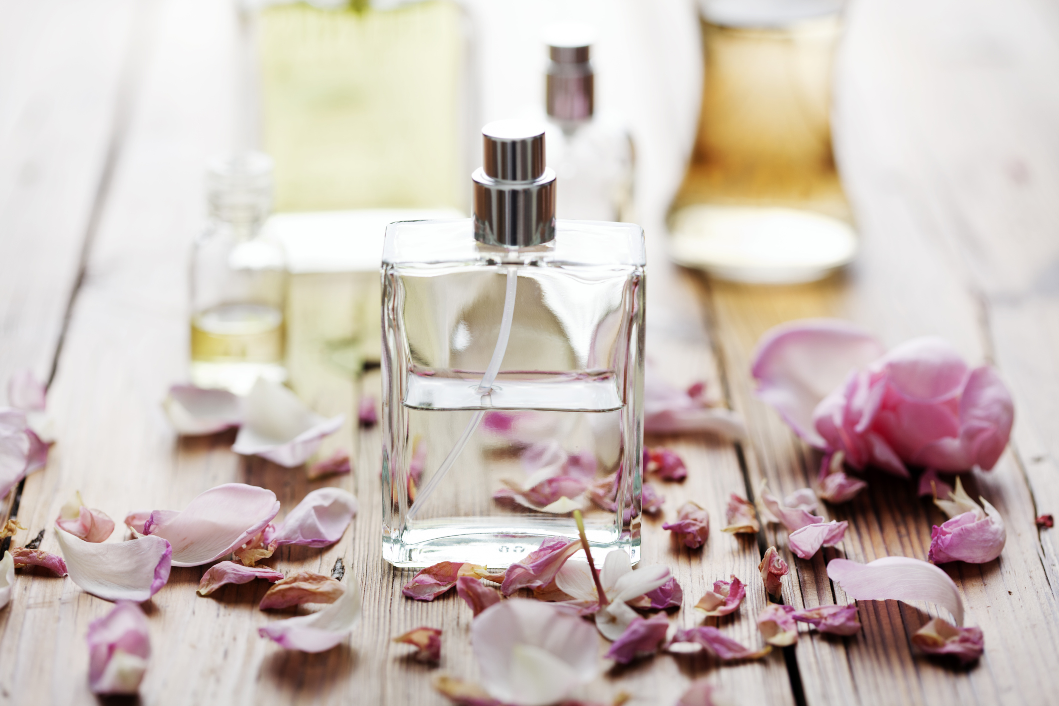 Los exquisitos perfumes nicho, realmente deliciosos, totalmente auténticos y originaless