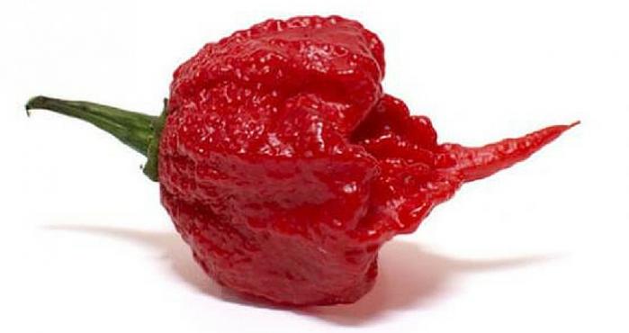 De que pican, pican, algunos de los ajíes más picantes del mundo