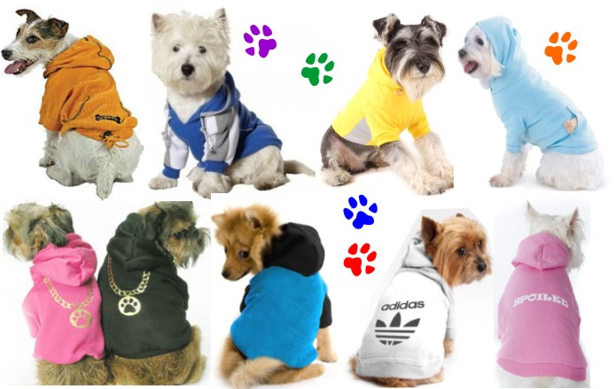 Mascotas Chic, viste a tus peluditos!