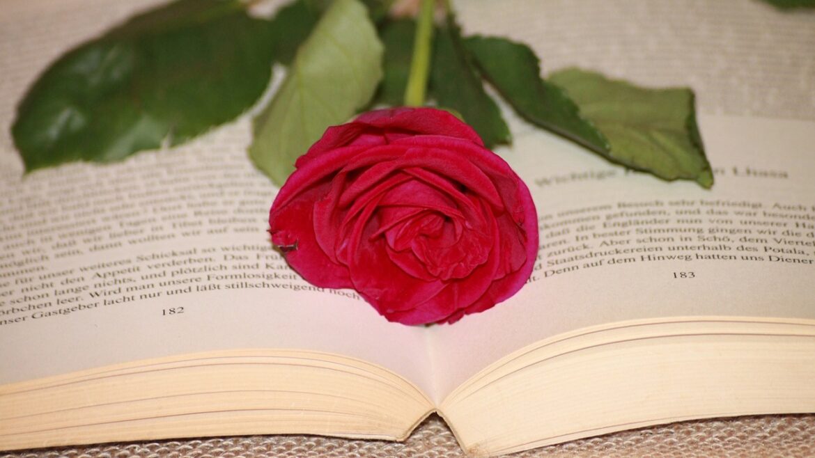 La hermosa celebración de Sant Jordi y el regalar una rosa roja
