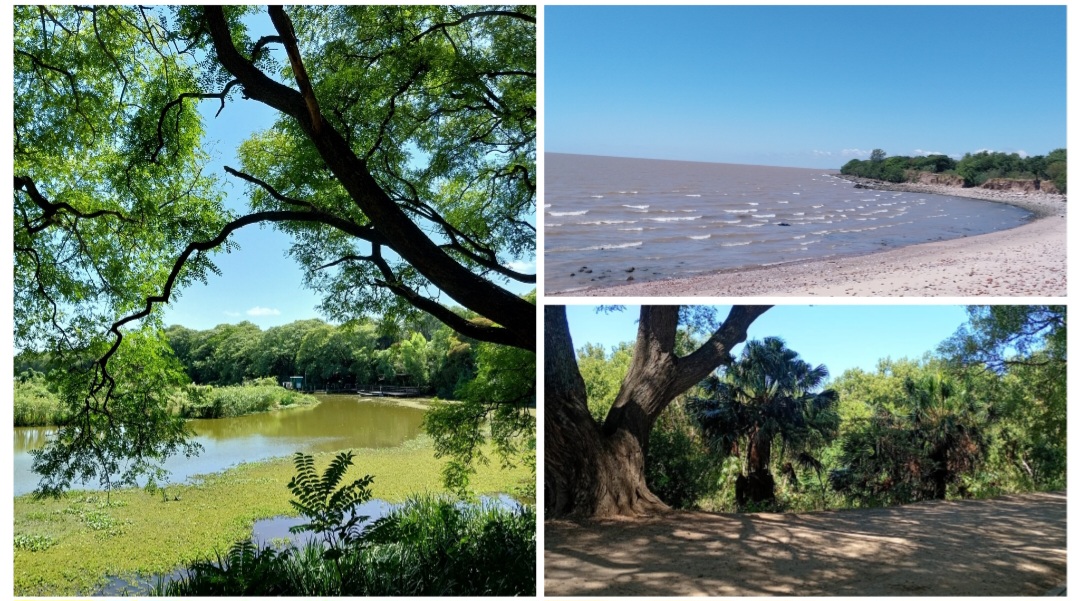 Reserva Ecológica en la Costanera Sur, un pulmón verde frente al maravilloso río