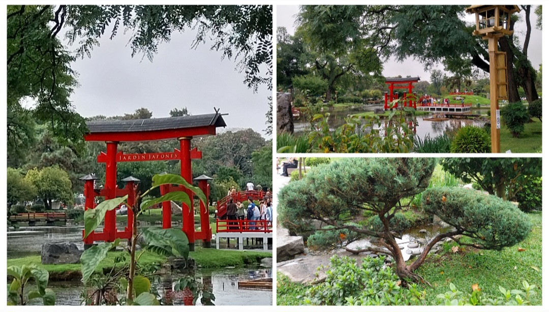 Jardín Japonés, un oasis de serenidad zen en medio del caos citadino